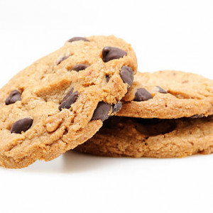 Cookies Low Carb Vanille Chocolat 100g